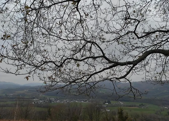 Gite Des 3 Arbres