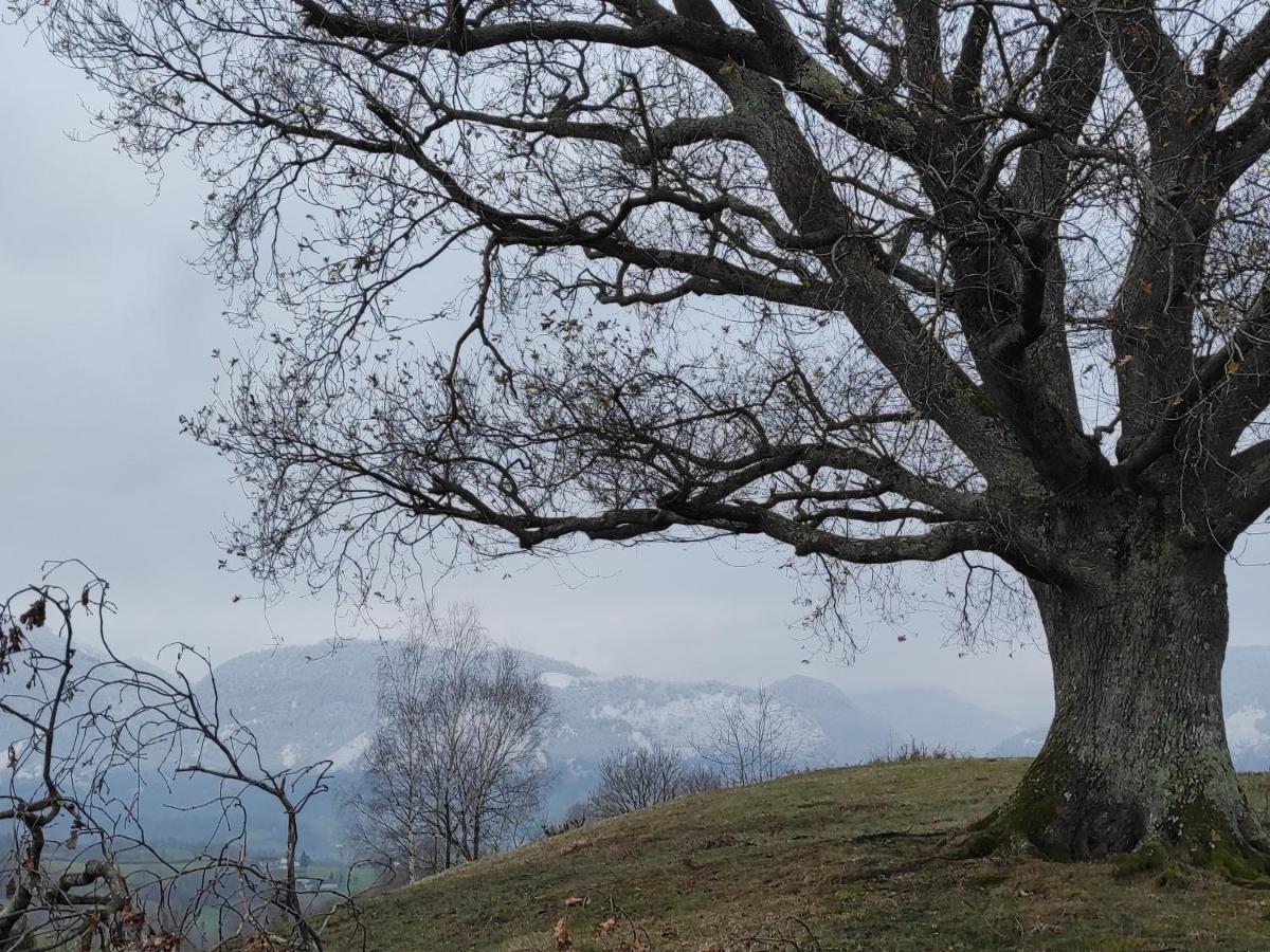 Des 3 Arbres *